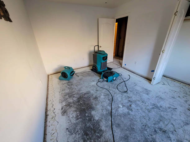 Best Fire Damage Restoration  in North Les, AK