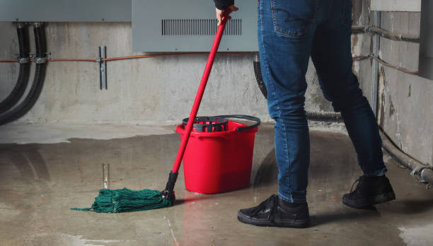 24/7 water damage repair in North Lakes, AK